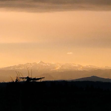 Appartement, Vue Sur Les Pyrenees Pouillon ภายนอก รูปภาพ